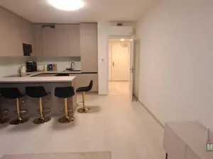 Pronájem bytu 2+kk, Praha - Žižkov, Jana Želivského, 119 m2