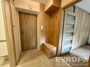 Pronájem bytu 1+1, Plzeň - Jižní Předměstí, Raisova, 30 m2