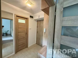 Pronájem bytu 1+1, Plzeň - Jižní Předměstí, Raisova, 30 m2