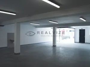 Prodej bytu 3+kk, České Budějovice, J. Dobrovského, 161 m2