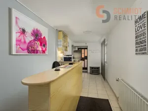 Prodej vícegeneračního domu, Podivín, 450 m2