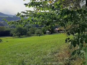 Prodej pozemku pro bydlení, Hrádek, 7770 m2