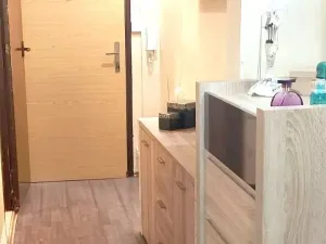 Prodej bytu 3+1, Vrbno pod Pradědem, 70 m2