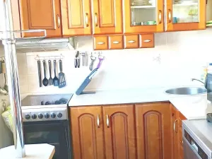 Prodej bytu 3+1, Vrbno pod Pradědem, 79 m2