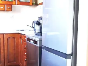 Prodej bytu 3+1, Vrbno pod Pradědem, 79 m2