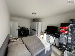 Prodej bytu 2+1, Most, Zdeňka Fibicha, 56 m2