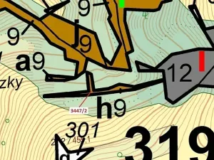 Dražba lesa, Hovězí, 550 m2