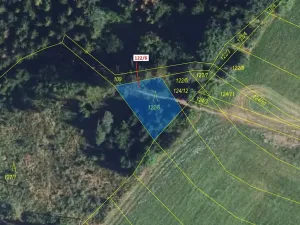 Dražba lesa, Jenišovice, 324 m2