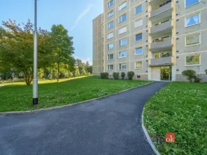 Pronájem bytu 2+kk, Sokolov, Spartakiádní, 60 m2