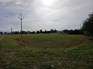 Dražba pole, Vrbice, 9030 m2