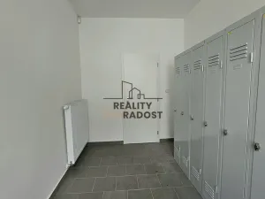 Pronájem komerční nemovitosti, Hodonín, Kolískova, 33 m2