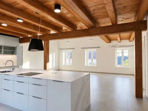 Pronájem bytu 4+kk, Rybníček, 196 m2