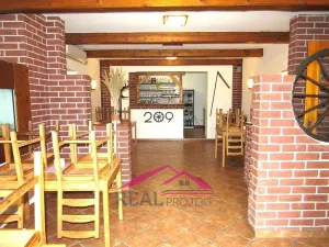 Pronájem obchodního prostoru, Čebín, 180 m2