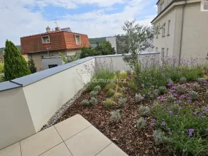 Pronájem bytu 2+kk, Praha - Motol, Pod Homolkou, 72 m2