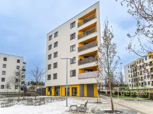Pronájem bytu 1+kk, Praha, Ke kříži, 26 m2