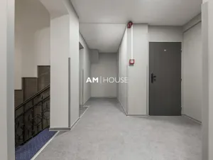 Pronájem ubytování, Praha - Nové Město, Opatovická, 1000 m2
