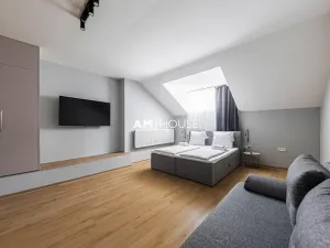 Pronájem ubytování, Praha - Nové Město, Opatovická, 1000 m2