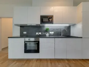 Pronájem bytu 2+kk, Praha - Karlín, Breitfeldova, 55 m2