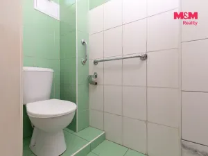 Prodej bytu 2+1, Ostrava - Přívoz, Muglinovská, 83 m2