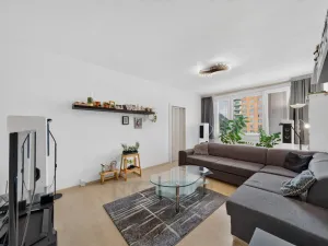 Prodej bytu 3+1, České Budějovice - České Budějovice 3, J. Plachty, 84 m2