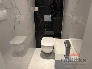 Prodej bytu 2+1, Opava - Předměstí, Lidická, 99 m2