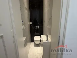 Prodej bytu 2+1, Opava - Předměstí, Lidická, 99 m2