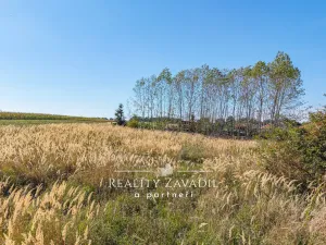 Prodej pozemku pro bydlení, Chlístov - Žabovřesky, 1248 m2