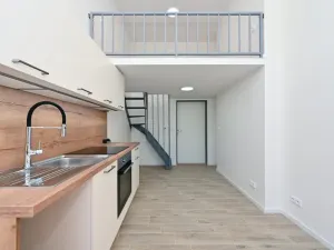 Pronájem bytu 1+kk, Brno - Veveří, Mášova, 22 m2