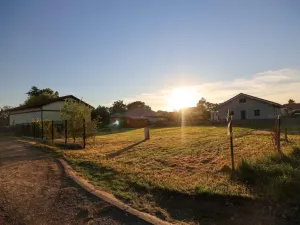Prodej pozemku pro bydlení, Polepy, 1095 m2