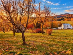 Prodej pozemku pro bydlení, Dolní Podluží, 1607 m2