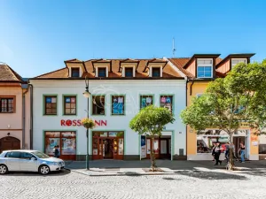 Pronájem bytu 4+kk, Beroun - Beroun-Centrum, Česká, 230 m2