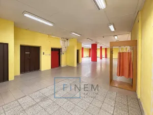 Pronájem obchodního prostoru, Kralupy nad Vltavou, 410 m2