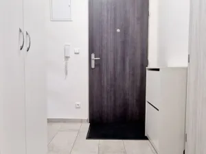 Pronájem bytu 2+kk, Brno, Mathonova, 39 m2