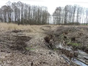 Prodej rybníku, Brniště, 486 m2