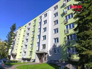 Pronájem bytu 1+kk, Frýdek-Místek - Frýdek, Bavlnářská, 27 m2