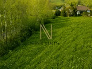 Prodej pozemku pro bydlení, Pařezov, 2050 m2
