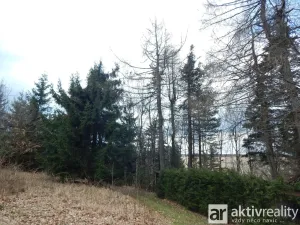 Prodej chaty, Moldava - Nové Město, 50 m2