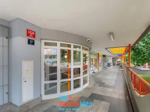 Prodej bytu 1+1, Praha - Řepy, Makovského, 47 m2
