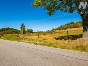 Prodej pozemku pro bydlení, Horní Planá, 3307 m2