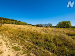 Prodej pozemku pro bydlení, Horní Planá, 3307 m2