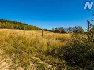 Prodej pozemku pro bydlení, Horní Planá, 3307 m2