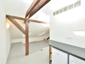 Pronájem bytu 1+kk, Praha - Nusle, Oldřichova, 29 m2