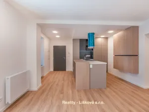 Pronájem atypického bytu, Ústí nad Labem, Bělehradská, 56 m2