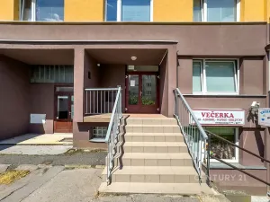 Pronájem bytu 1+kk, Děčín, Pohraniční, 19 m2