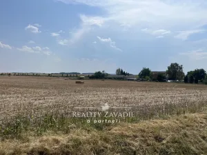 Prodej rodinného domu, Dohalice - Horní Dohalice, 80 m2