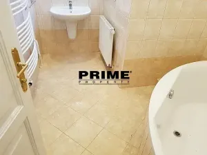 Pronájem bytu 2+1, Praha - Nové Město, Záhořanského, 124 m2