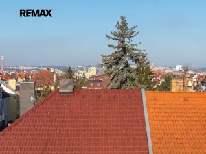 Prodej bytu 2+1, Plzeň, Ořechová, 70 m2