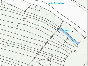 Prodej lesa, Strmilov, 1331 m2