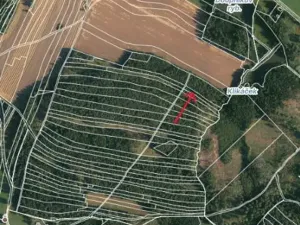 Prodej lesa, Strmilov, 1331 m2