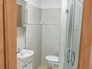 Pronájem bytu 1+kk, Nový Jičín, Jičínská, 28 m2